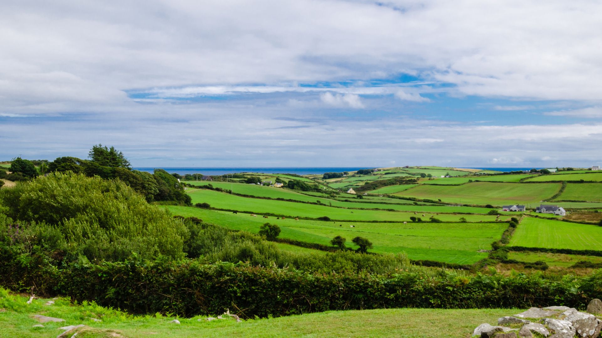 View of the countryside in Ireland