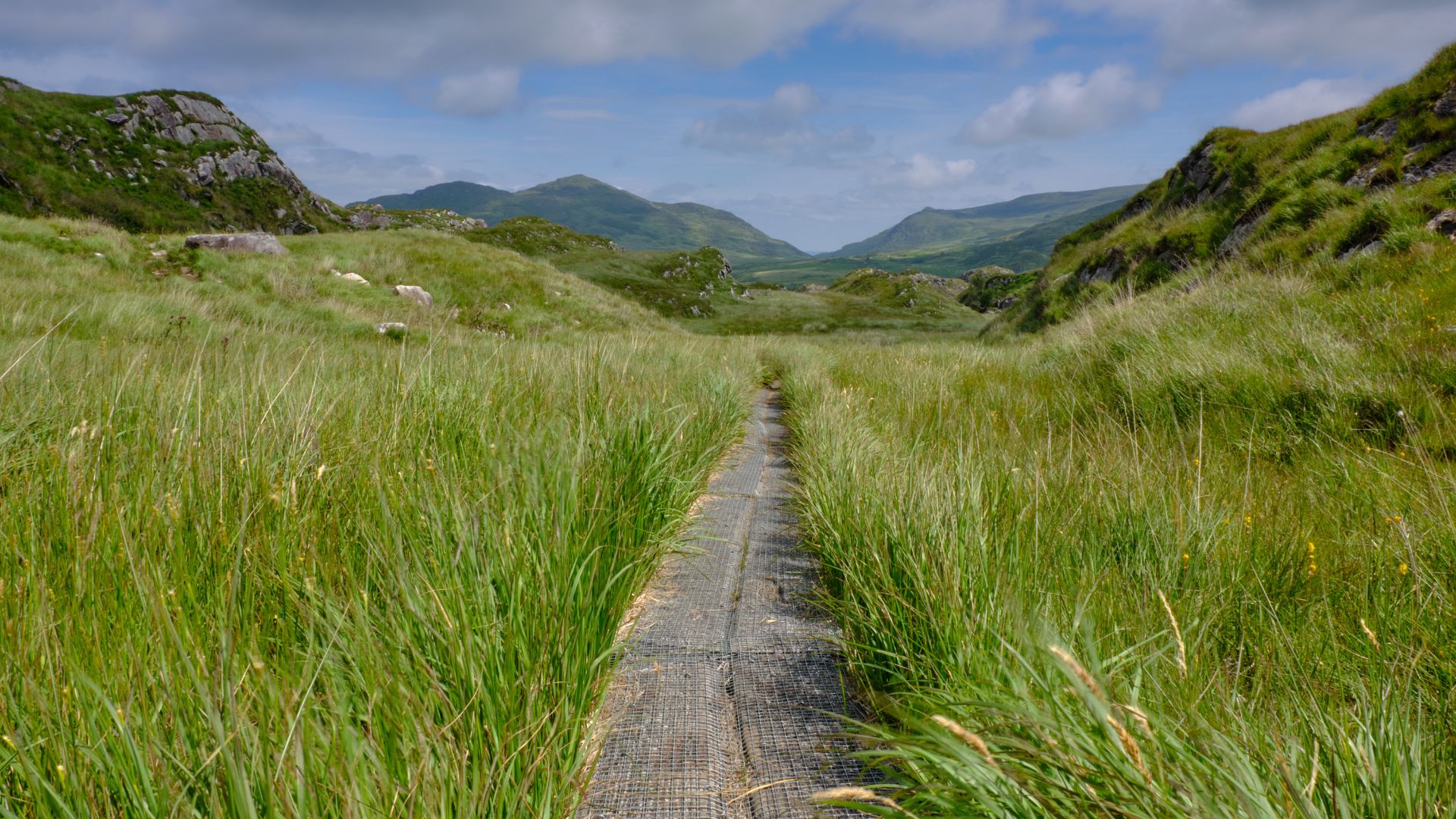 Boardwalk trail through scenic mountains