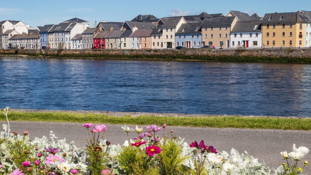 Line of flowers overlooking Galway