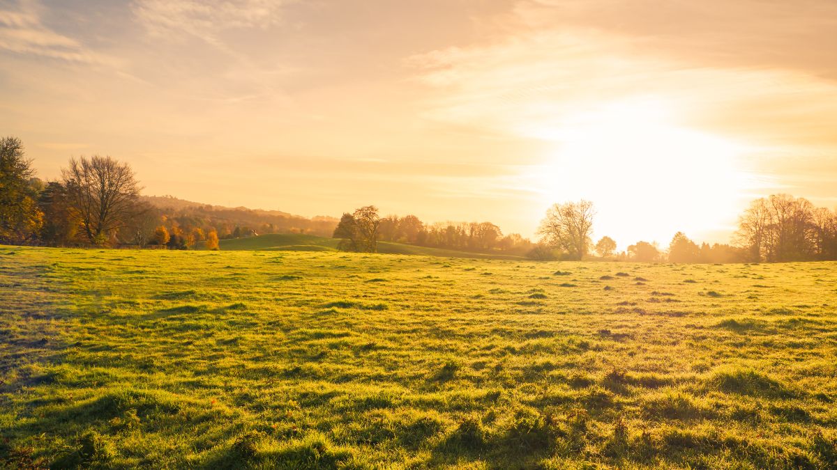 Northern Ireland sunset on a farm 
