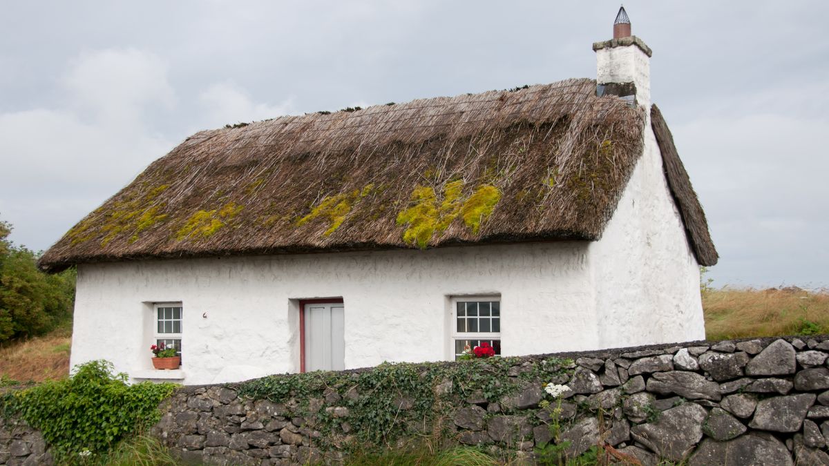 Traditional thatched roof cottage