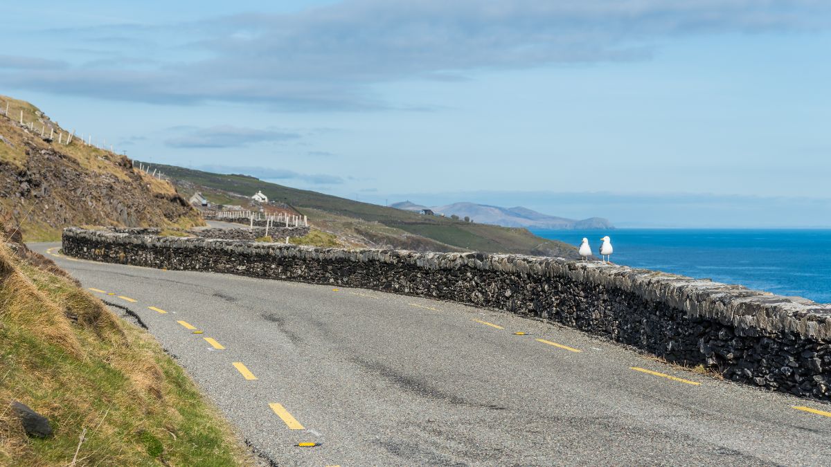 Narrow road in Ireland