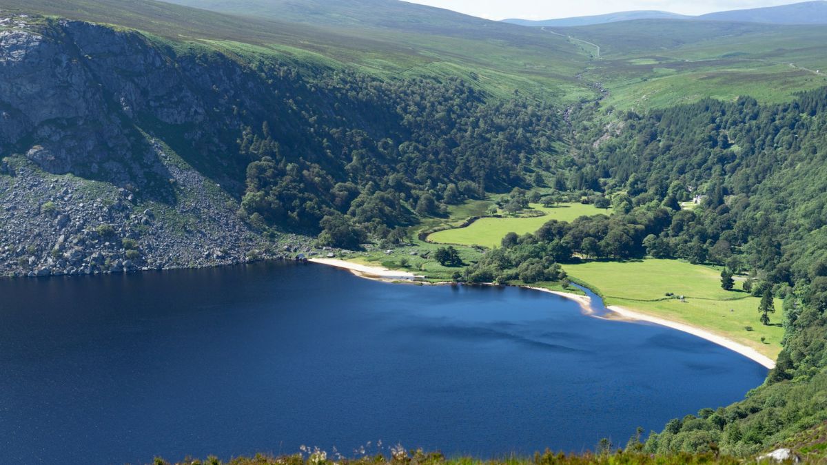 a lake with trees and a green field in the background