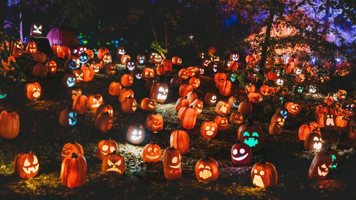 Traditional Pumpkin Patch