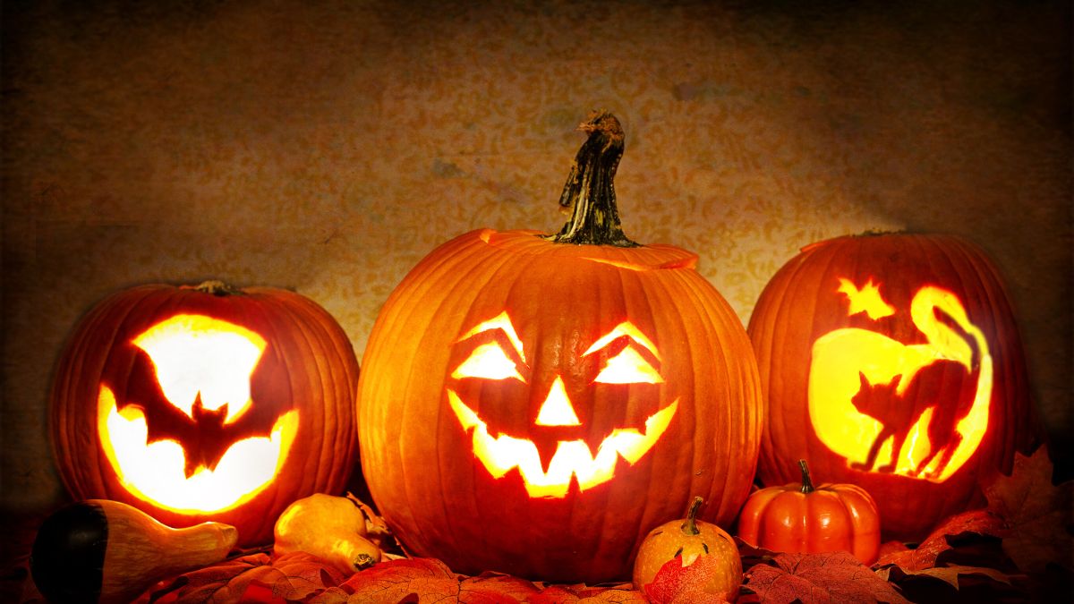 pumpkins