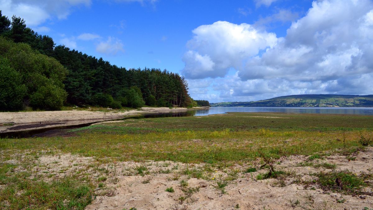 View of Blessington Lakes, Wicklow Mountains, Ireland