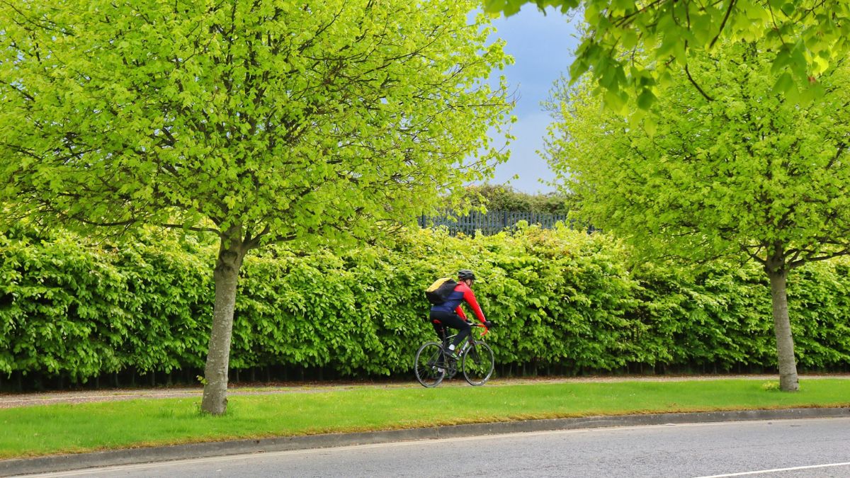 Cyclist in Dublin, Ireland