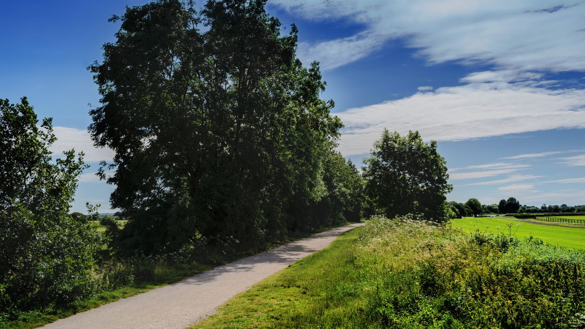 A dirt road, track and footpath through a rural environment