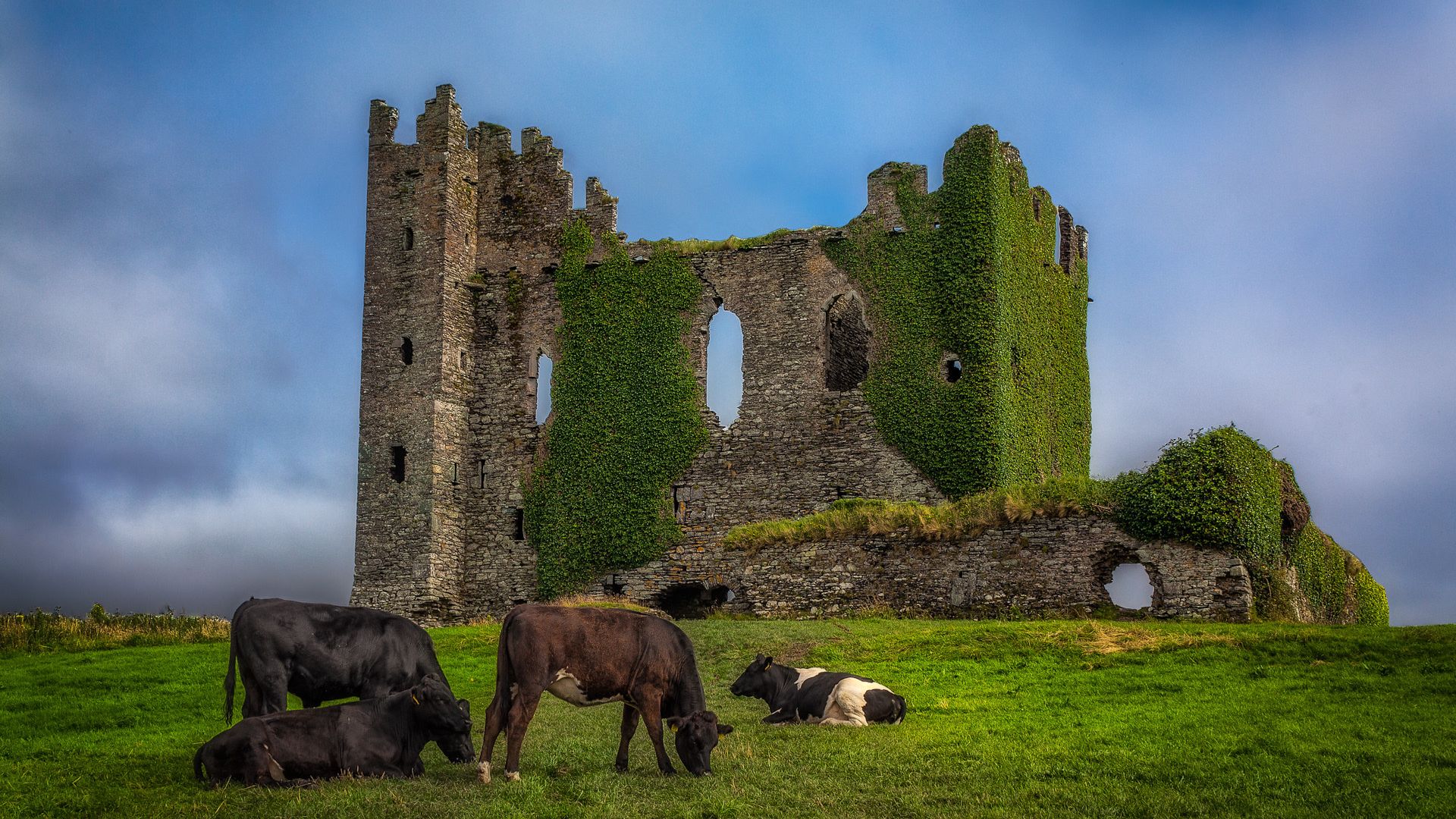 Ballycarbery Castle