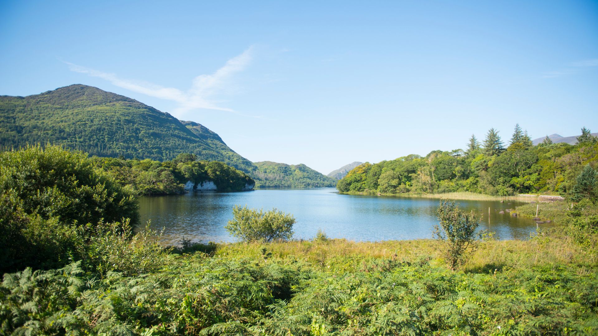 Killarney National Park, Ireland