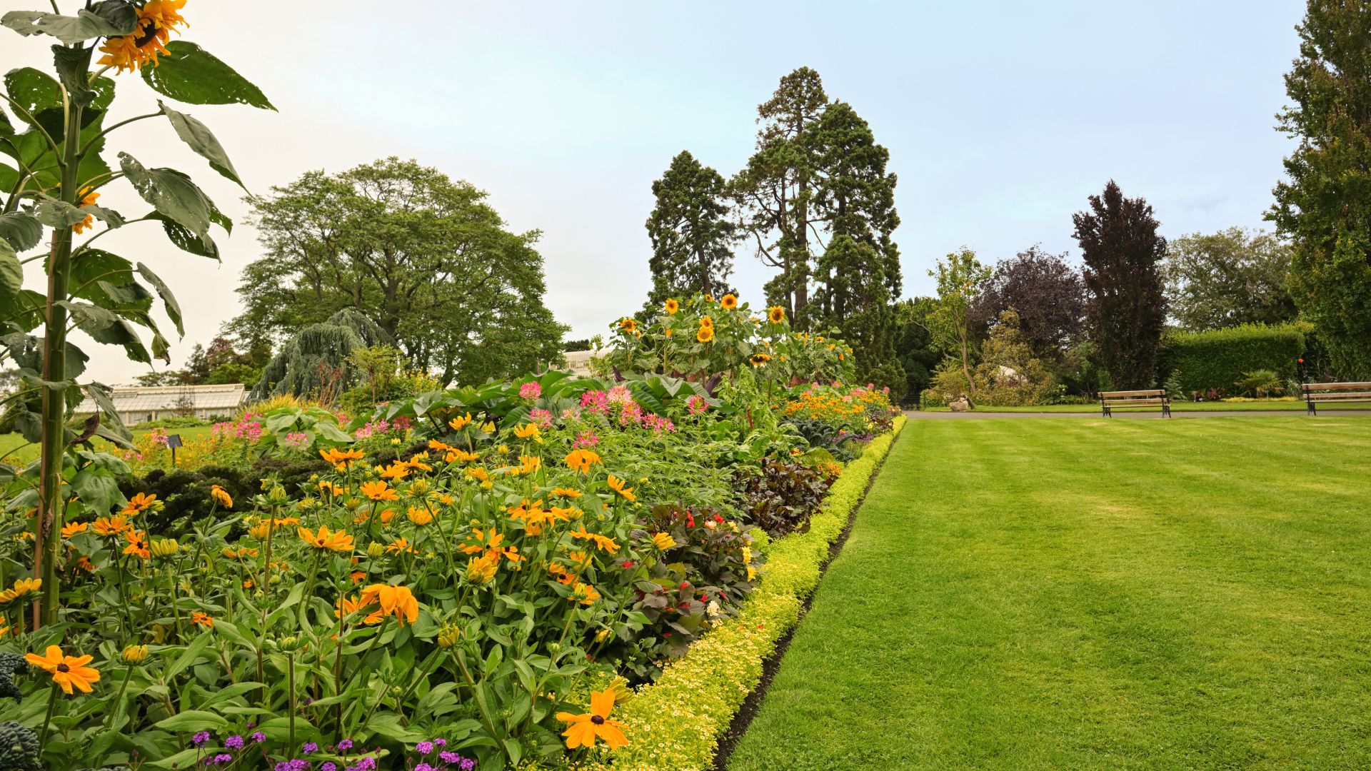 National Botanic Gardens, Dublin, Ireland