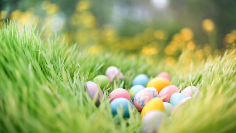 Easter eggs laying in grass