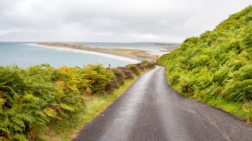 Road to Rossbeigh Beach, Ring of Kerry, Ireland