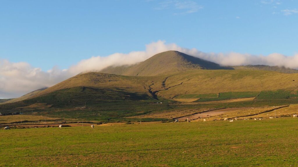 The Irish countryside with Mount Brandon in the background.