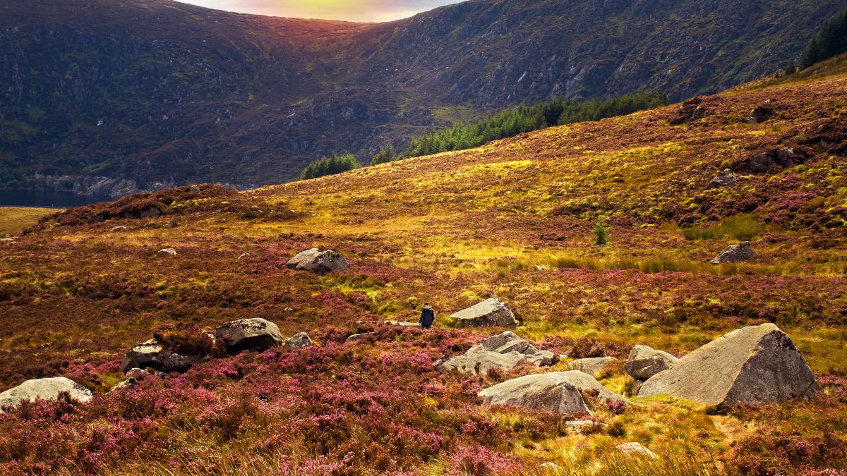 Beautiful view to the Wicklow Mountains in Wicklow Mountains National Park, Ireland.